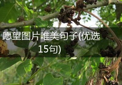 愿望图片唯美句子(优选15句)