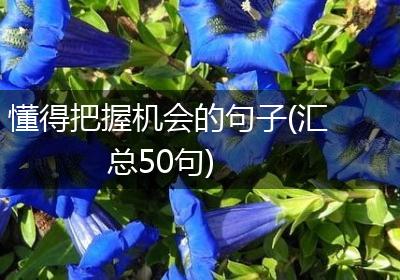 懂得把握机会的句子(汇总50句)