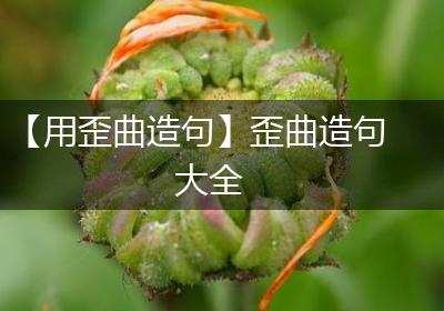 【用歪曲造句】歪曲造句大全