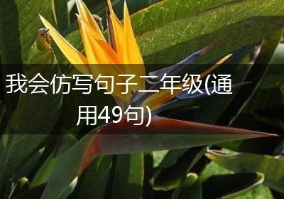 我会仿写句子二年级(通用49句)