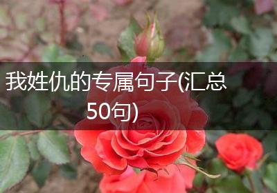 我姓仇的专属句子(汇总50句)