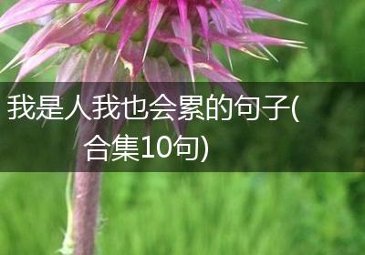我是人我也会累的句子(合集10句)