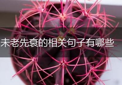 未老先衰的相关句子有哪些