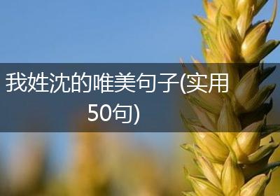 我姓沈的唯美句子(实用50句)