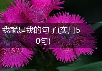 我就是我的句子(实用50句)