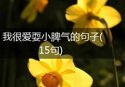 我很爱耍小脾气的句子(15句)