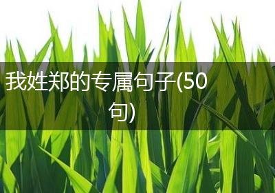 我姓郑的专属句子(50句)