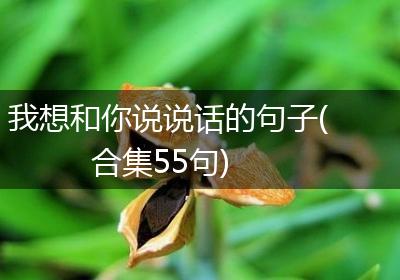我想和你说说话的句子(合集55句)