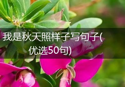 我是秋天照样子写句子(优选50句)