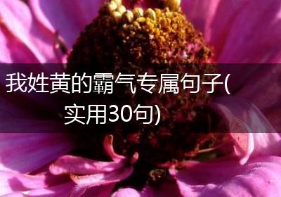 我姓黄的霸气专属句子(实用30句)