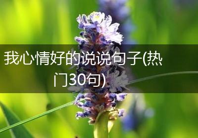 我心情好的说说句子(热门30句)