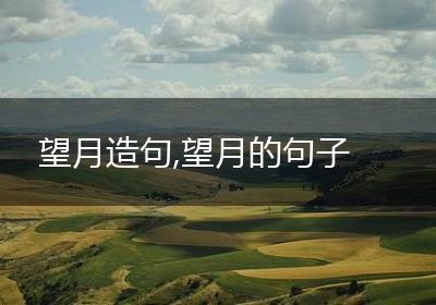 望月造句,望月的句子