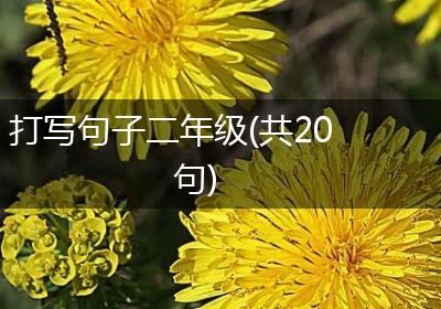 打写句子二年级(共20句)
