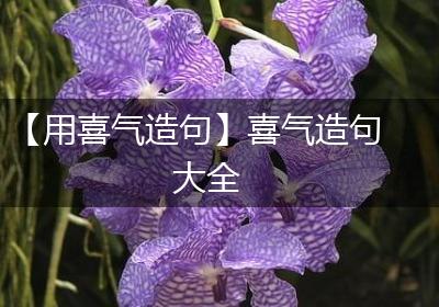 【用喜气造句】喜气造句大全