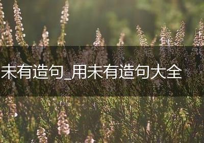 未有造句_用未有造句大全