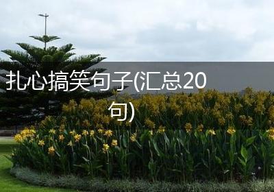 扎心搞笑句子(汇总20句)