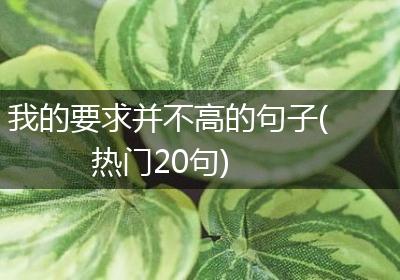 我的要求并不高的句子(热门20句)