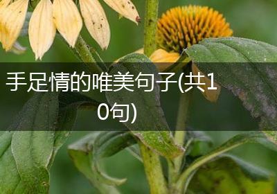 手足情的唯美句子(共10句)