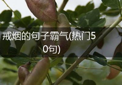 戒烟的句子霸气(热门50句)