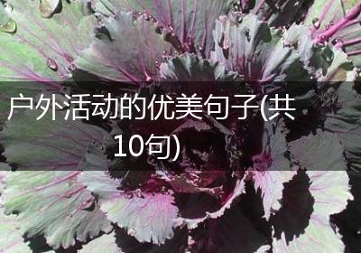 户外活动的优美句子(共10句)
