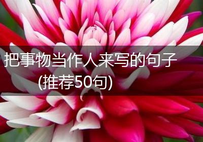把事物当作人来写的句子(推荐50句)