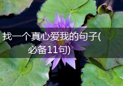 找一个真心爱我的句子(必备11句)