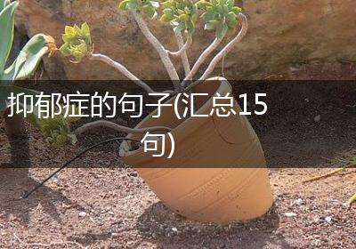 抑郁症的句子(汇总15句)