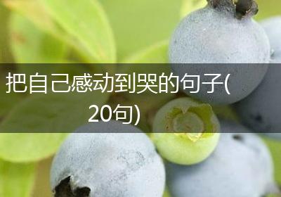 把自己感动到哭的句子(20句)