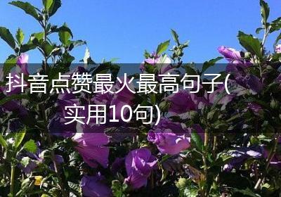 抖音点赞最火最高句子(实用10句)