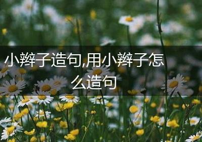 小辫子造句,用小辫子怎么造句