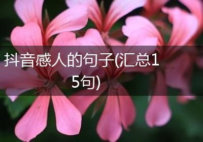 抖音感人的句子(汇总15句)