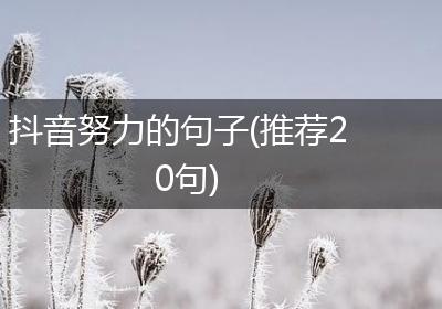 抖音努力的句子(推荐20句)
