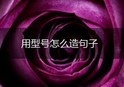 用型号怎么造句子