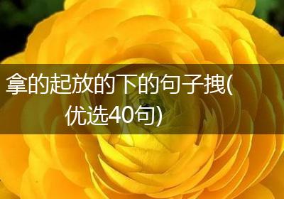 拿的起放的下的句子拽(优选40句)