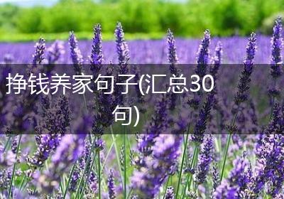 挣钱养家句子(汇总30句)