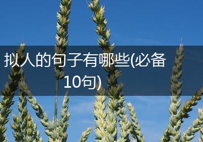 拟人的句子有哪些(必备10句)