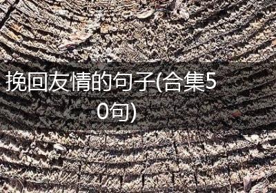 挽回友情的句子(合集50句)