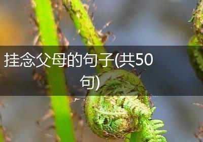 挂念父母的句子(共50句)