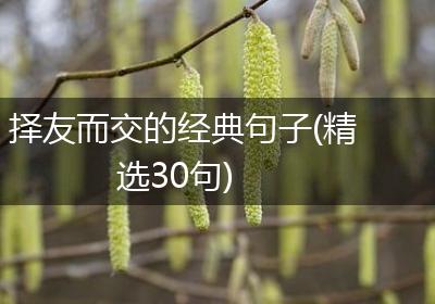 择友而交的经典句子(精选30句)