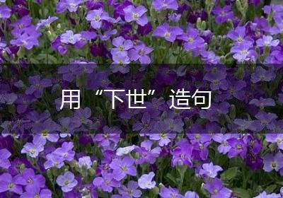 用“下世”造句