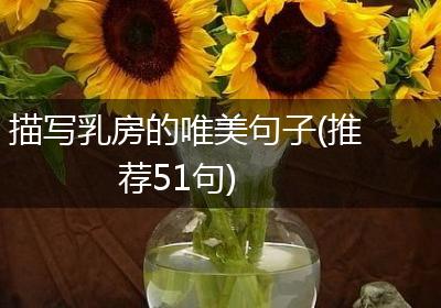 描写乳房的唯美句子(推荐51句)