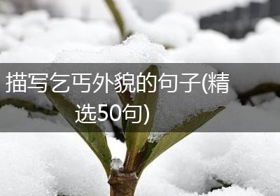 描写乞丐外貌的句子(精选50句)