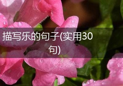 描写乐的句子(实用30句)