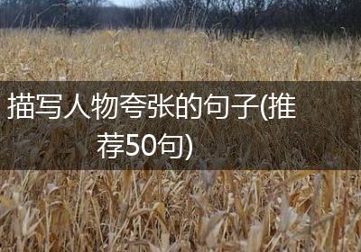 描写人物夸张的句子(推荐50句)