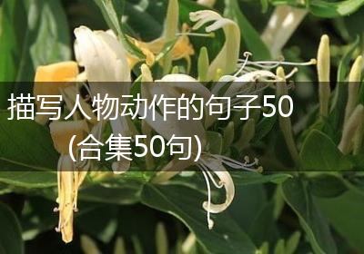 描写人物动作的句子50(合集50句)