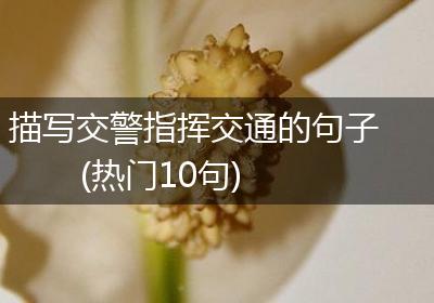 描写交警指挥交通的句子(热门10句)