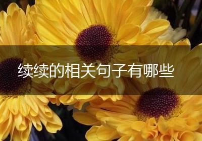 续续的相关句子有哪些