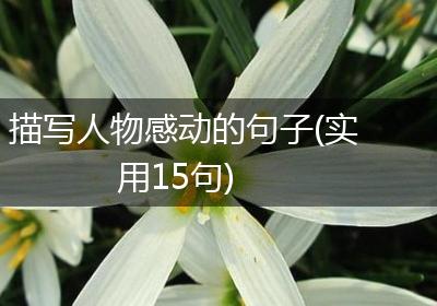 描写人物感动的句子(实用15句)