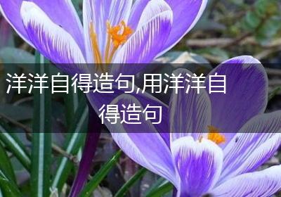 洋洋自得造句,用洋洋自得造句