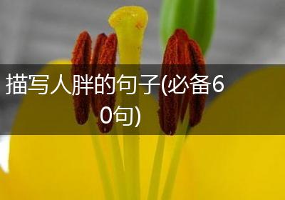 描写人胖的句子(必备60句)